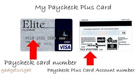 paycheckplus|my paycheck plus.